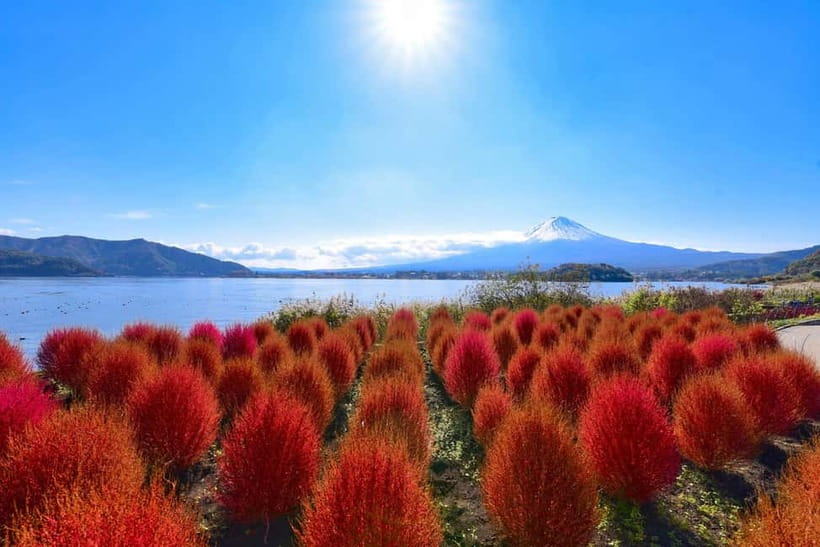 Tokyo:Mt.Fuji,Kawaguchiko Oishi Park,Arakurayama Sengen Park - Saiko Iyashi-no-Sato Nenba: thatched roofs, crafts, and a different kind of Fuji photo