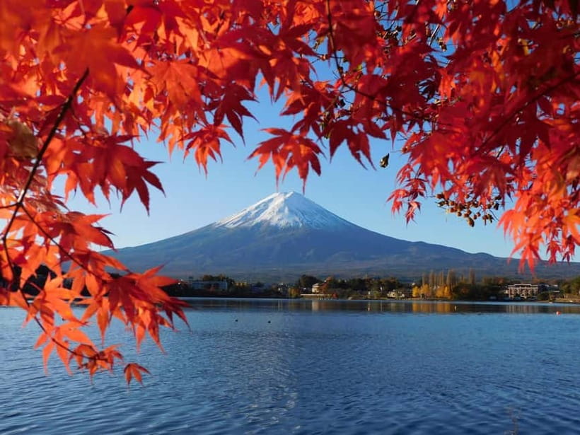 Tokyo:Mt.Fuji,Kawaguchiko Oishi Park,Arakurayama Sengen Park - Arakurayama Sengen Park and Chureito Pagoda: the classic frame, with steps