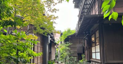 Tokyo:Stroll in Old traditional culture towns~Yanaka & Nezu - Meeting at Nippori Station and Settling Into a Relaxed 3.5 Hours